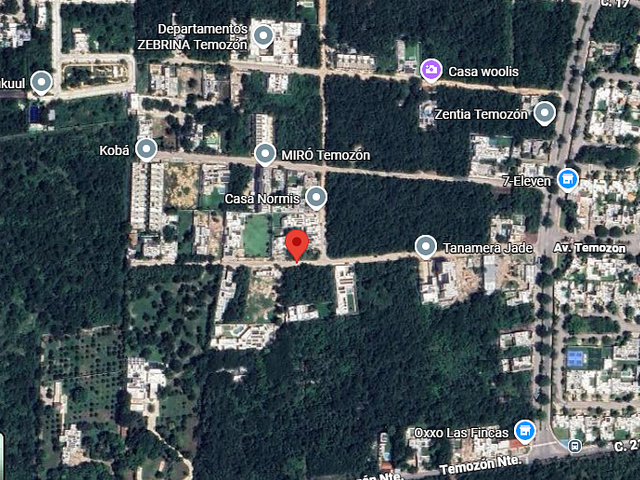 place photo 4
