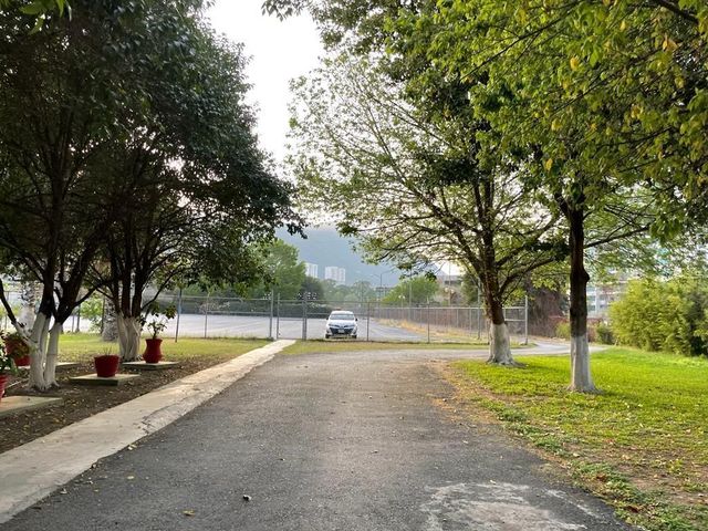 place photo 12
