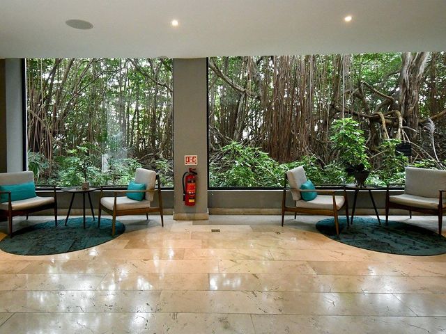 place photo 44