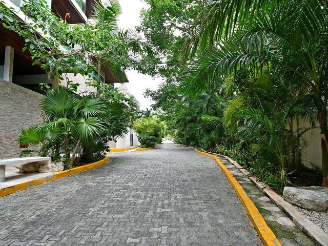 place photo 50
