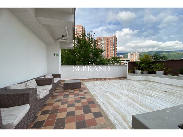 place photo 21