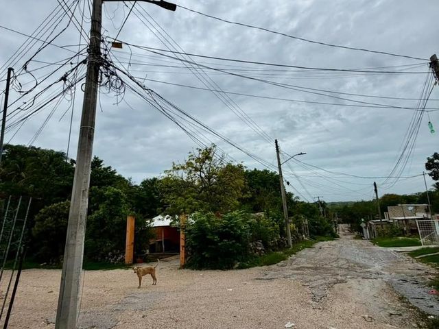 place photo 6