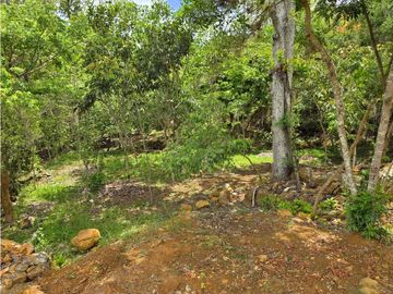 place photo 45