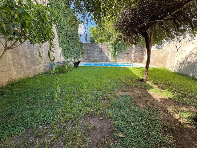 place photo 49