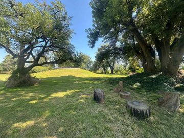 place photo 37