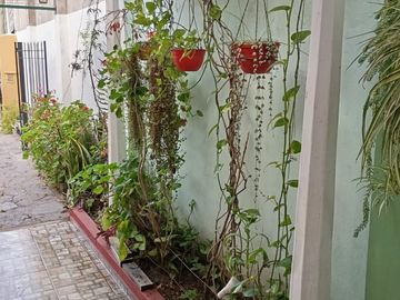 place photo 32