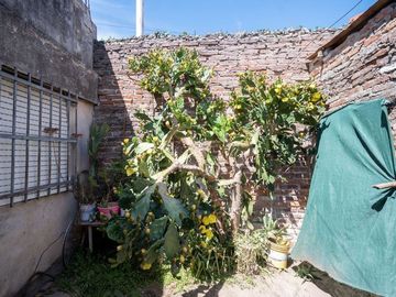 place photo 26