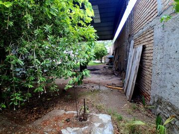 place photo 17