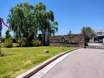 place photo 37