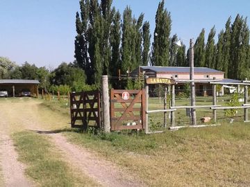 place photo 14