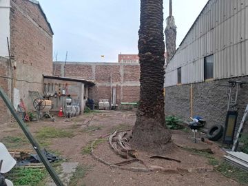 place photo 12
