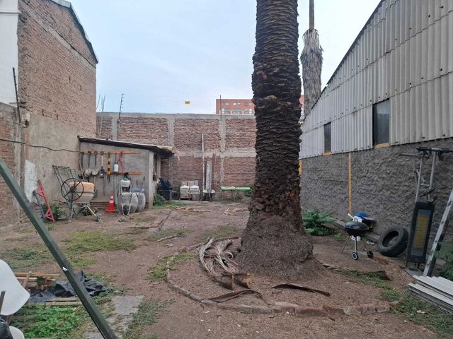 place photo 11