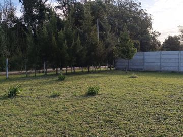 place photo 32