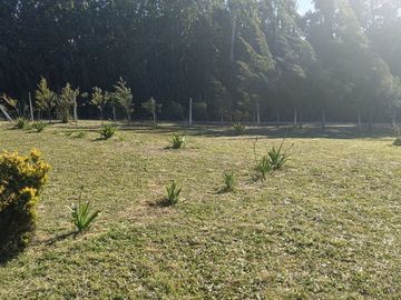 place photo 33