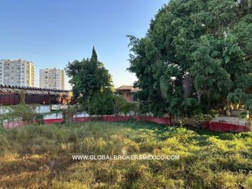 place photo 31