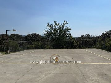 place photo 23