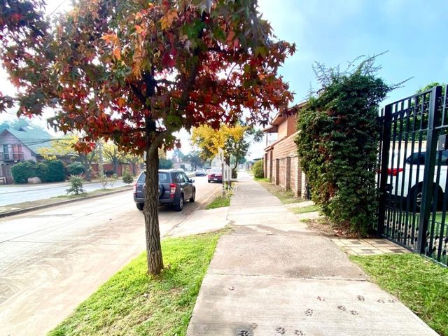 place photo 36
