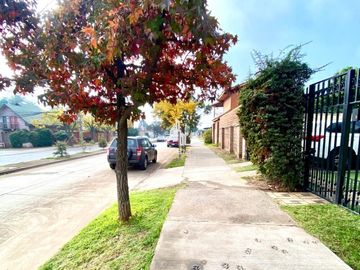 place photo 36