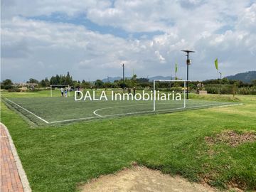 place photo 41