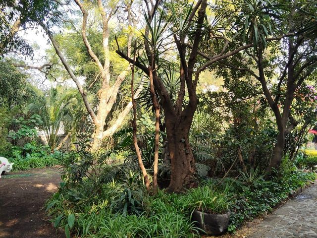 place photo 26