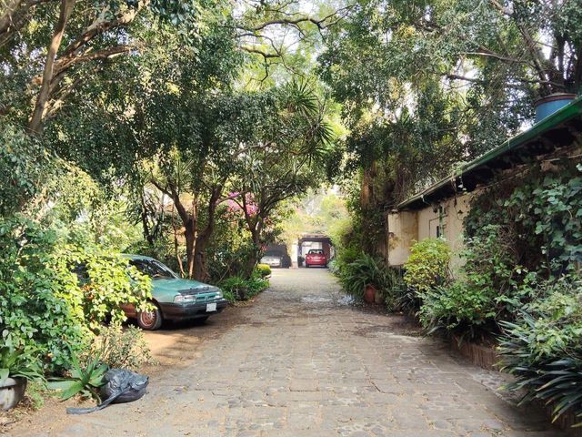 place photo 30