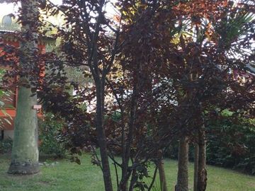 place photo 33