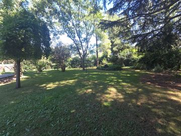 place photo 39