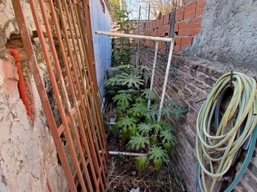 place photo 36