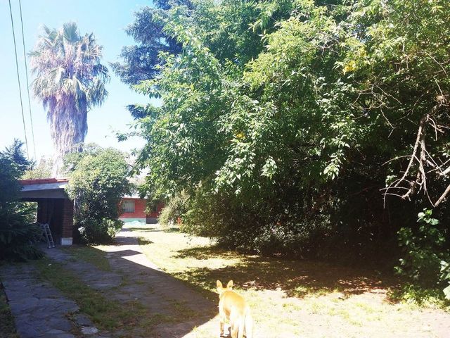 place photo 34