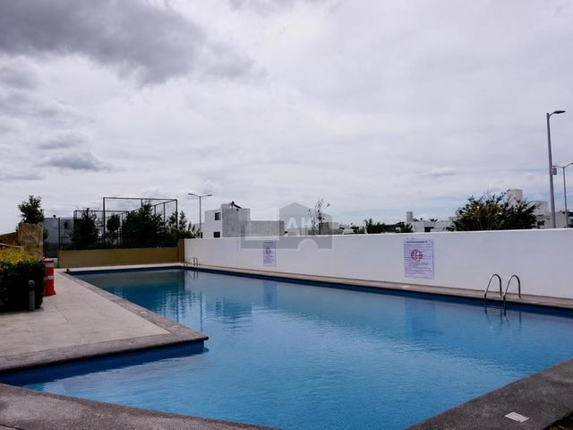 place photo 28