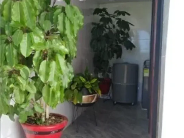 place photo 36