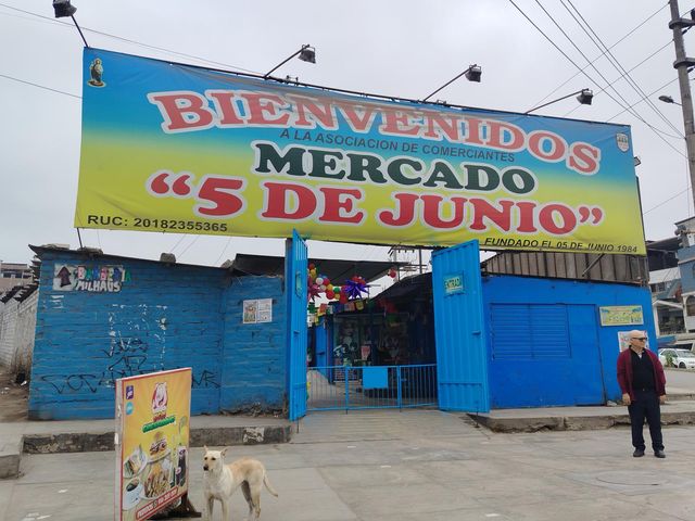 place photo 20