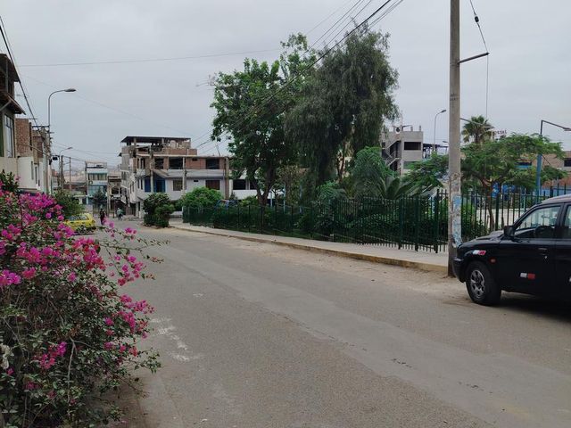 place photo 14