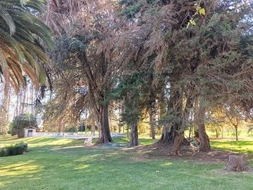 place photo 22