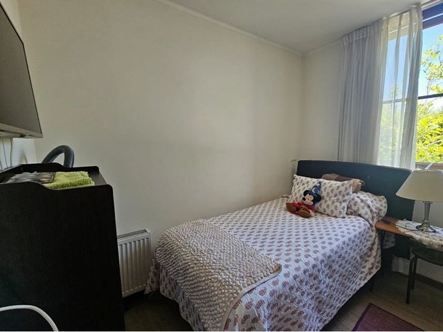 place photo 45