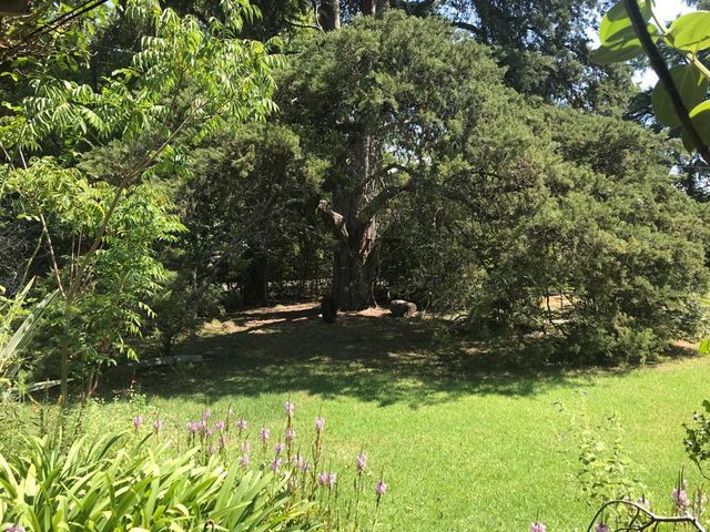 place photo 28