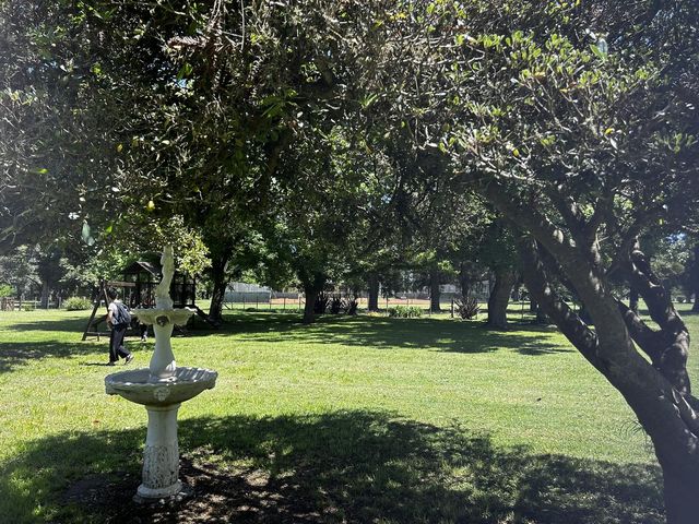place photo 21