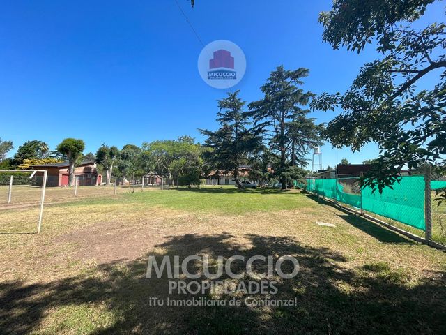 place photo 25