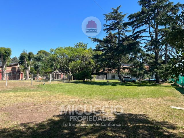 place photo 27