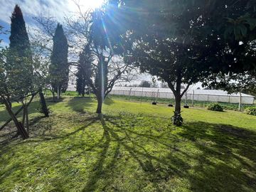 place photo 40