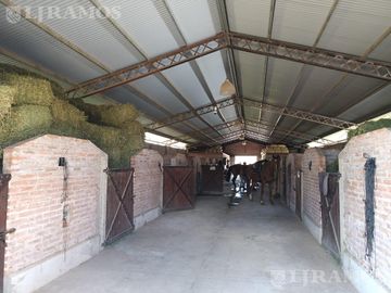 place photo 36