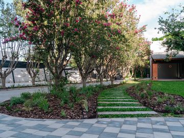 place photo 37