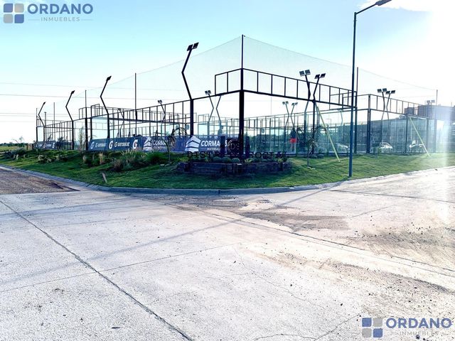 place photo 31