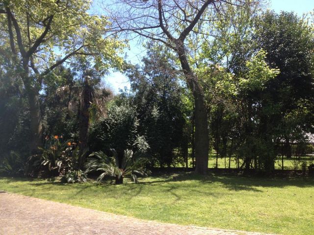 place photo 33