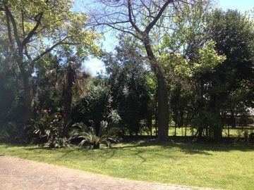 place photo 33