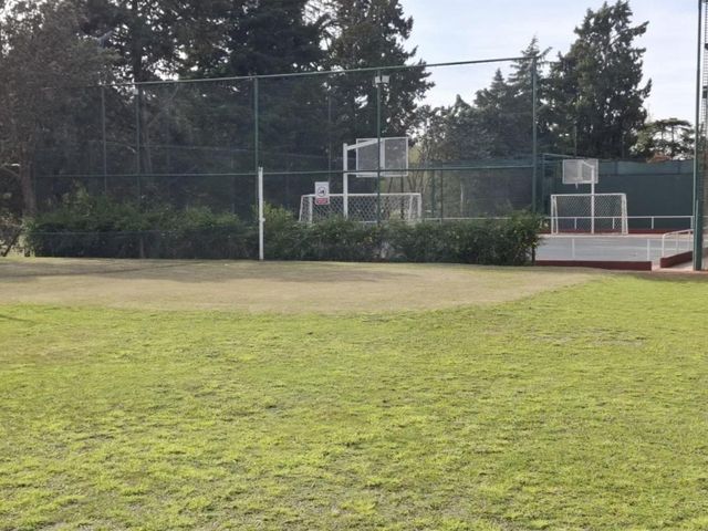 place photo 29