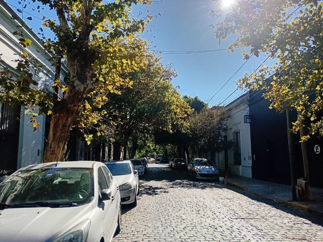 place photo 28