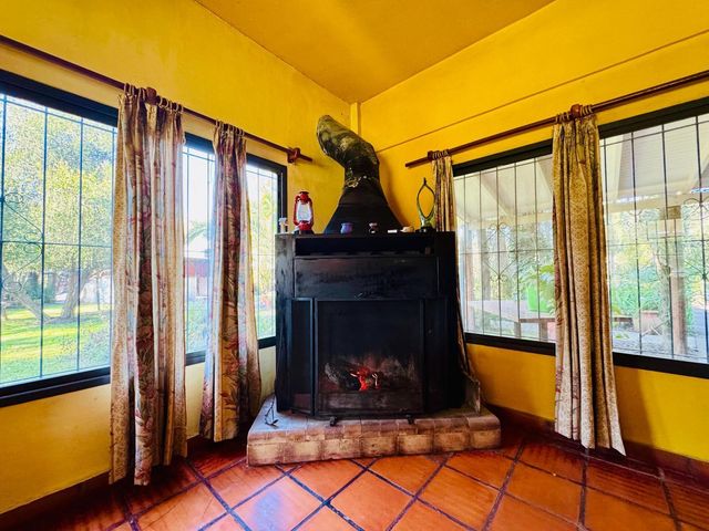 place photo 37