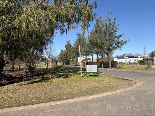 place photo 36