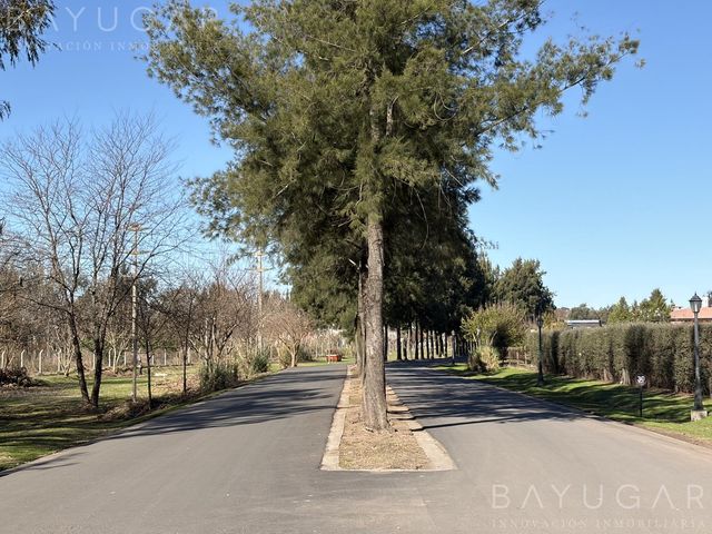 place photo 38